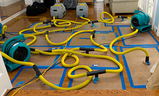 Professional Sewage Cleanup technician working in Madison, NC